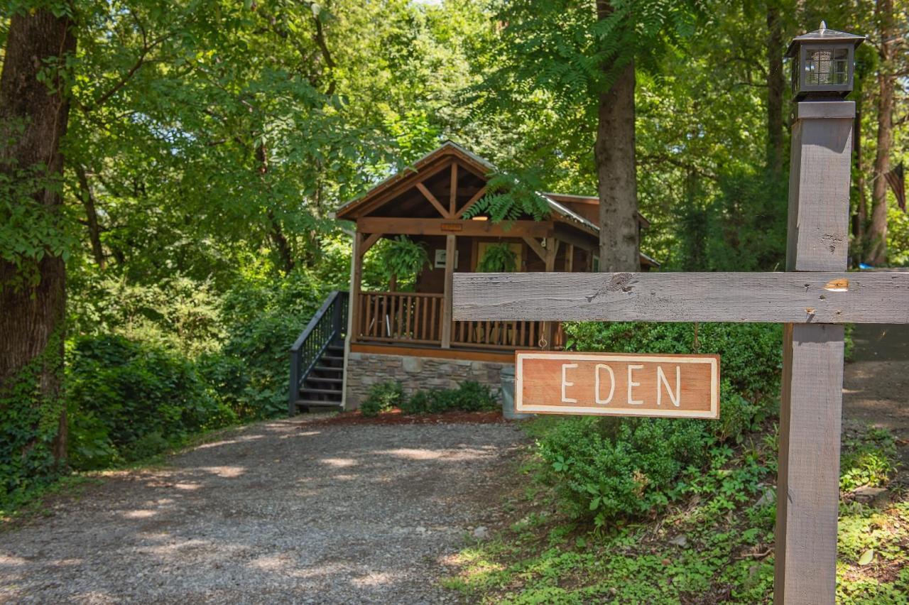 שאטאנוגה Eden Cabin Forested Tiny Home On Lookout Mtn מראה חיצוני תמונה