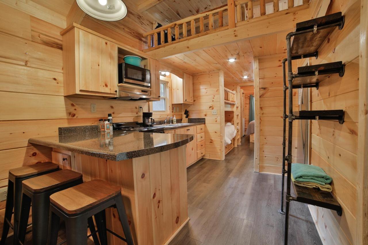 שאטאנוגה Eden Cabin Forested Tiny Home On Lookout Mtn מראה חיצוני תמונה